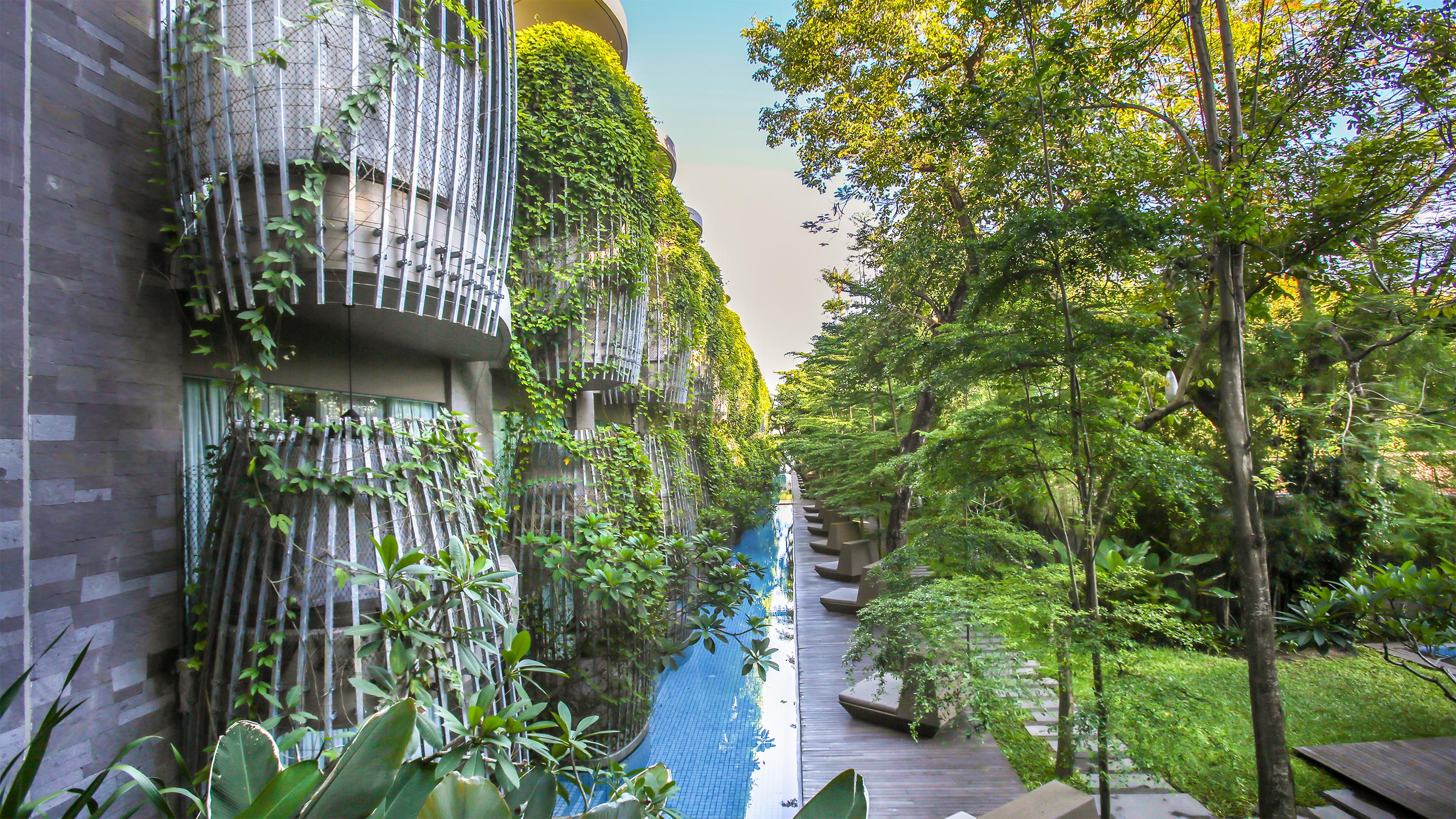 玛雅沙努尔温泉度假酒店 サヌール 外观 照片 The green wall at the hotel